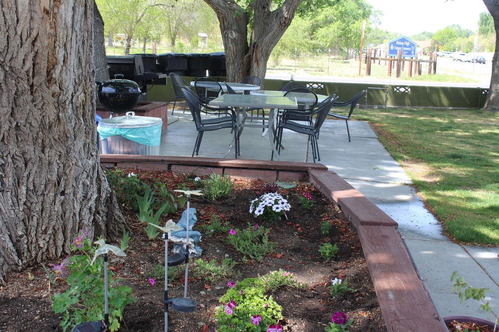 Trees Motel Pet Policy