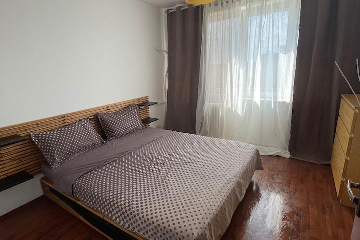 Pet Friendly Apartment in Central Bucharest