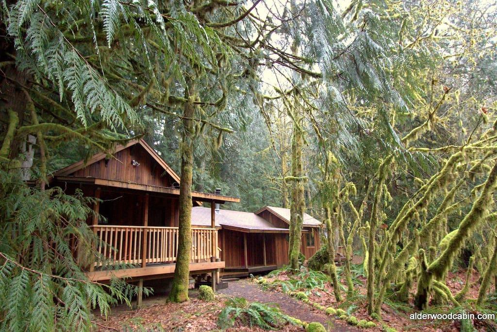 airbnb mt hood airbnb mt hood