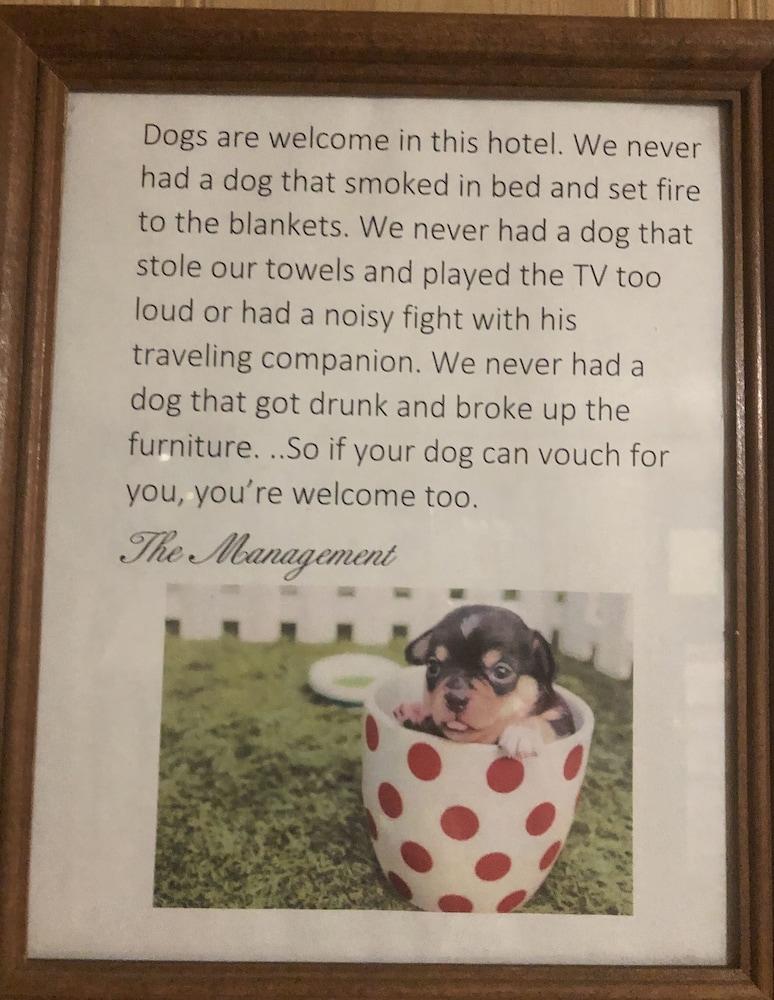 Pet Friendly Hotel Blue Top Inn