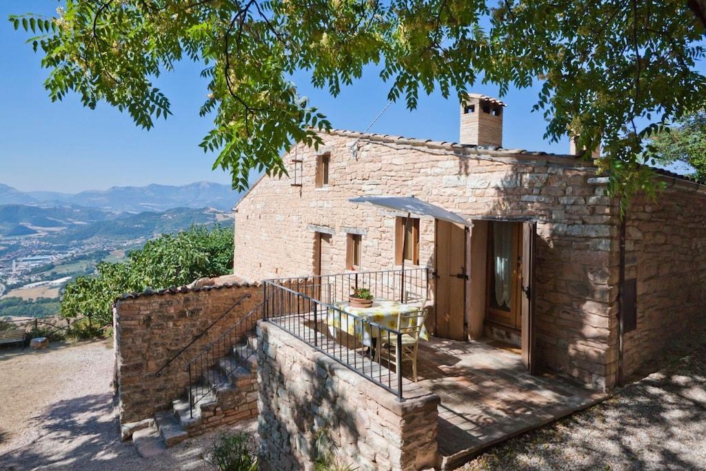 Il Conio Viola Pet Policy