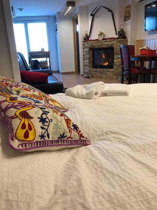 Pet Friendly Sos Del Rey Catolico Airbnb Rentals