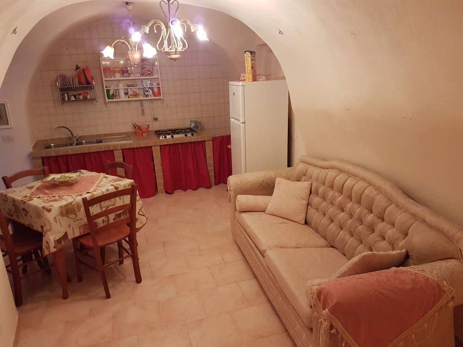 Pet Friendly Naples Airbnb Rentals