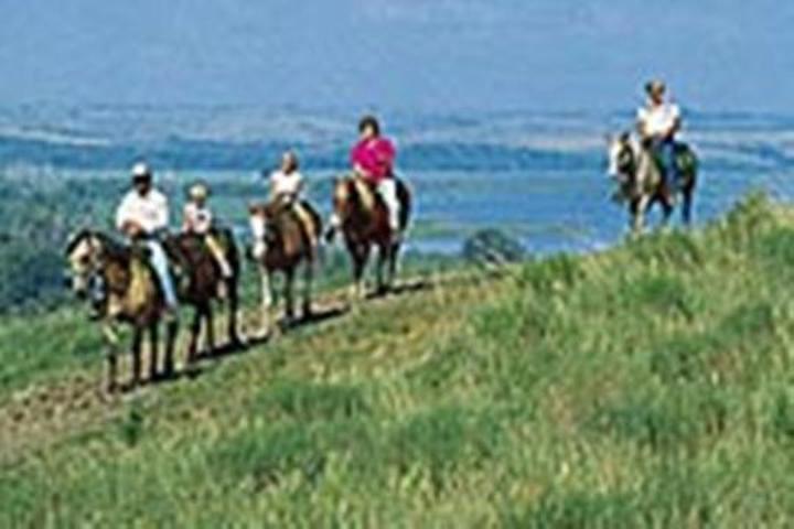 Pet Friendly Campgrounds In Nebraska Bringfido