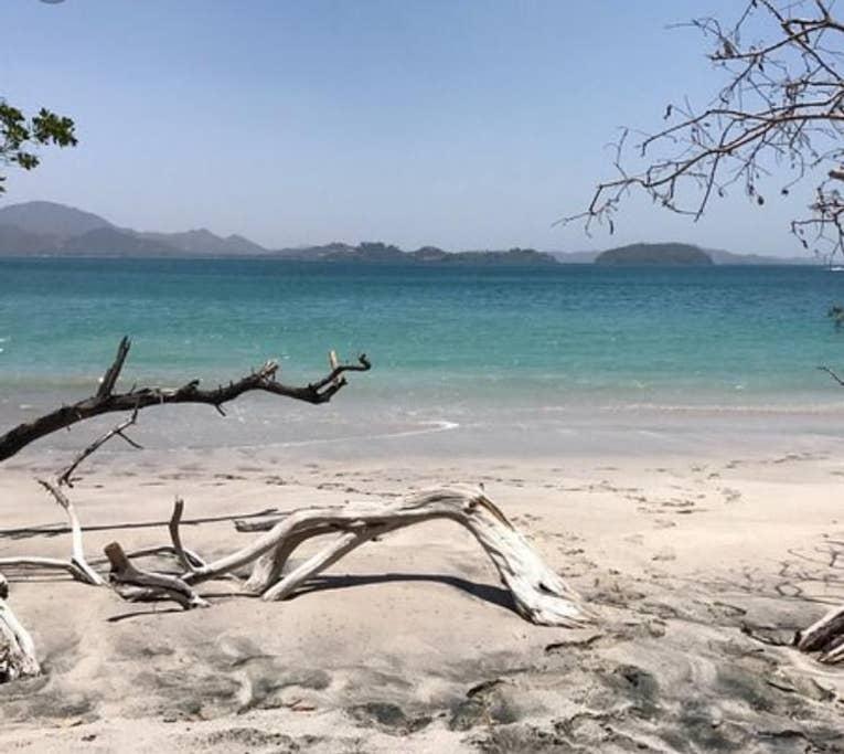 Playa Conchal Airbnb Rentals Pet Policy