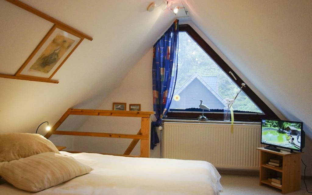 Haus Wexler Pet Policy