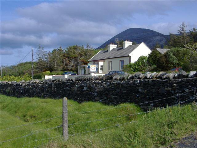 Pet Friendly Achill View B&B