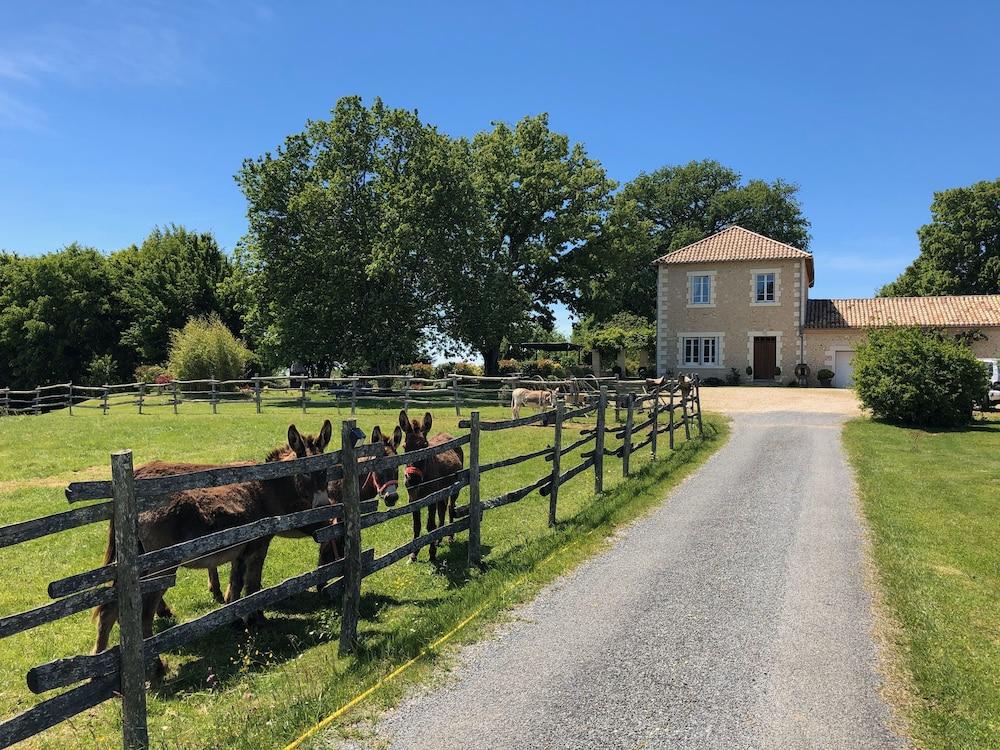 Pet Friendly Domaine de Chalamard - Chambres d'Hôtes