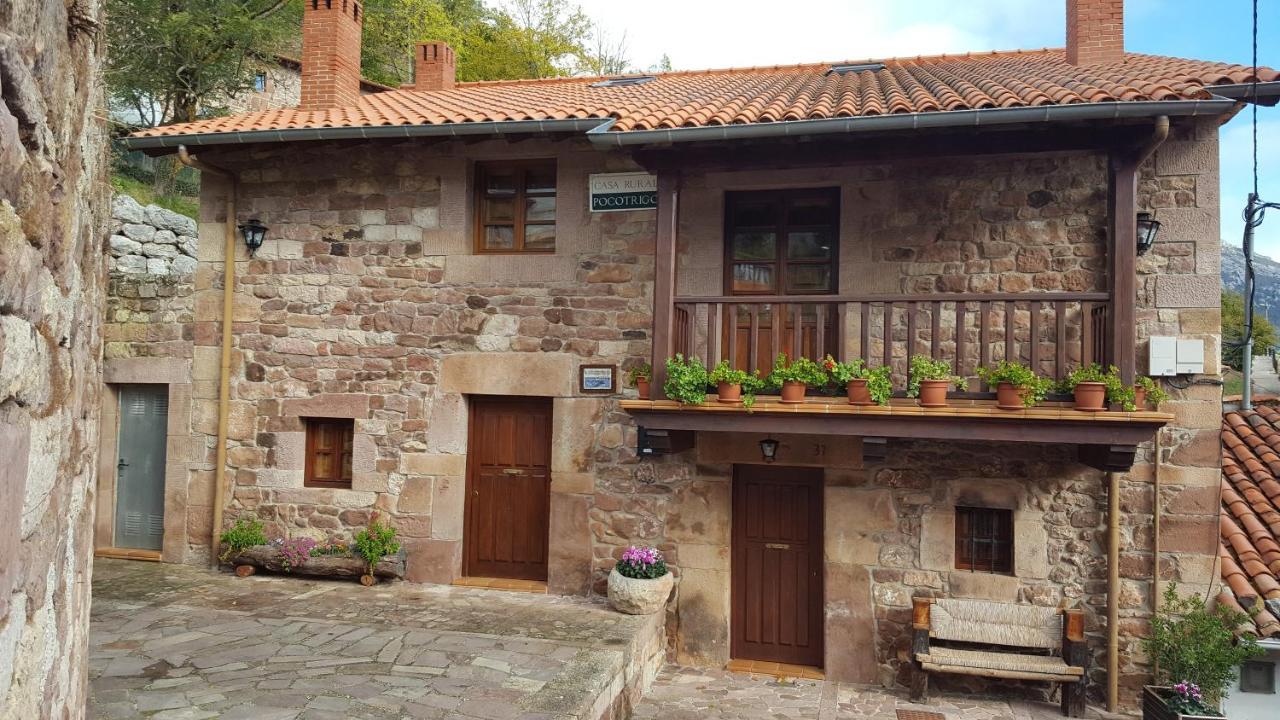 Pet Friendly Casa Rural Pocotrigo