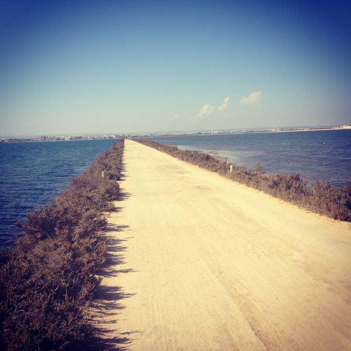 Pet Friendly Hotels In La Manga Club Es Bringfido