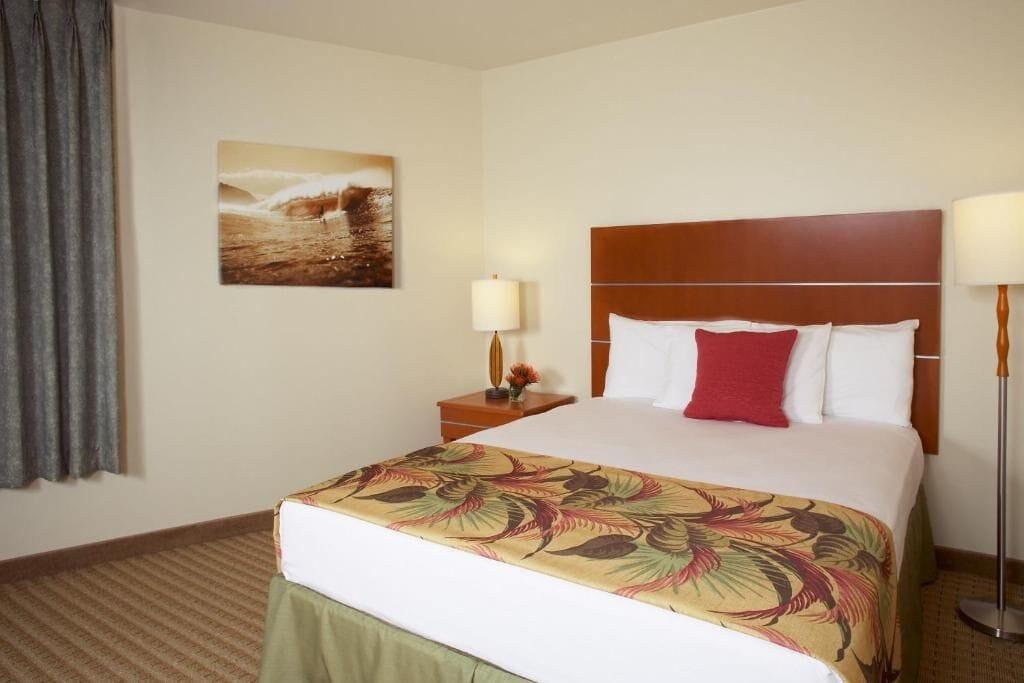 1BR Hotel Room in Honolulu Pet Policy