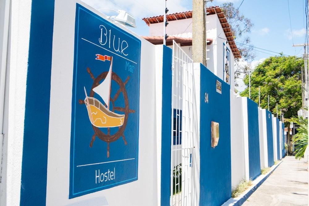 Pet Friendly Blue Hostel