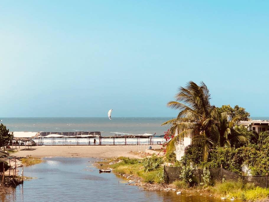 Manzanillo Airbnb Rentals Pet Policy