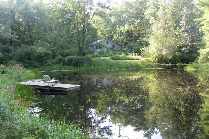 Pet Friendly Hotels In Storrs Ct Bringfido Pet Friendly Hotels In Storrs Ct Bringfido