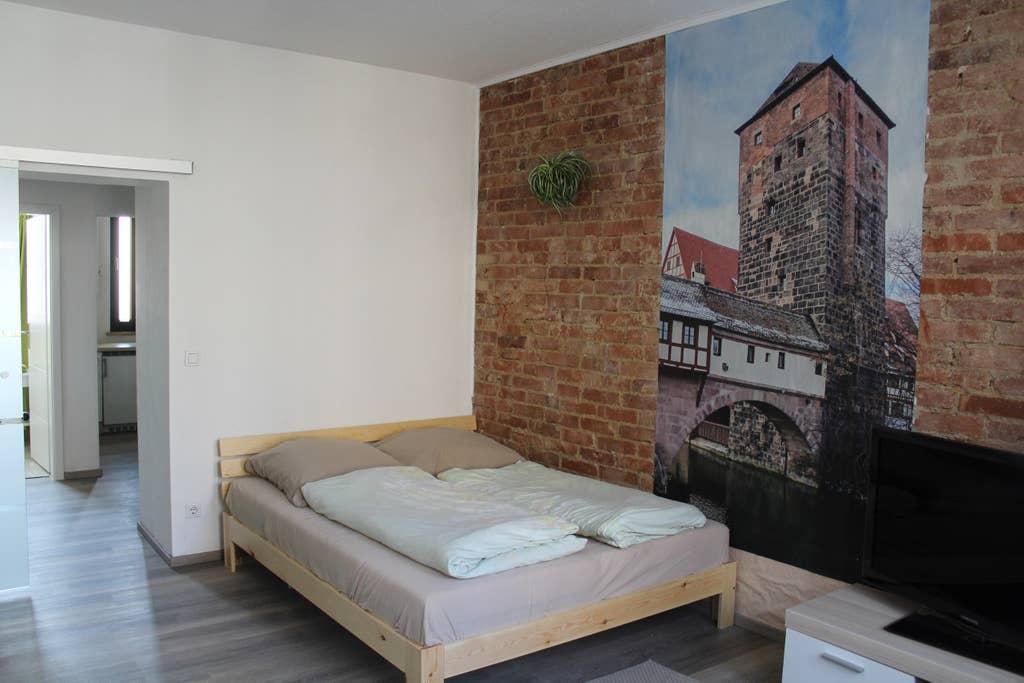 Pet Friendly Nuremberg Airbnb Rentals