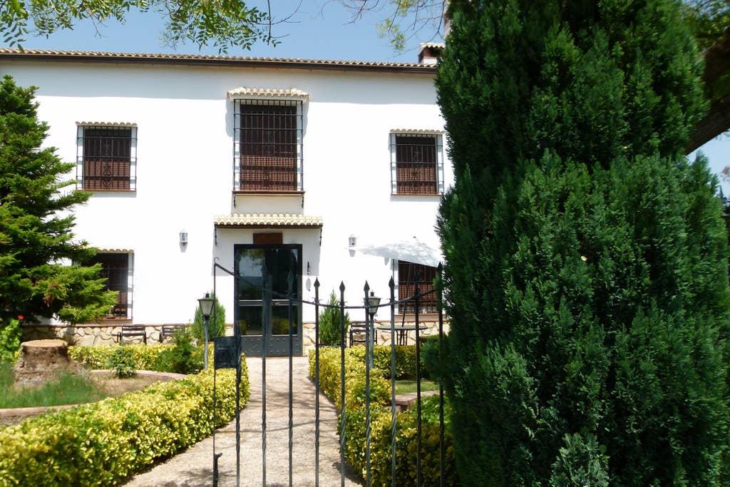 Pet Friendly Villa Del Rio Airbnb Rentals