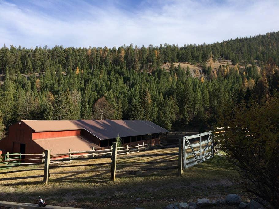 Kila Airbnb Rentals Pet Policy