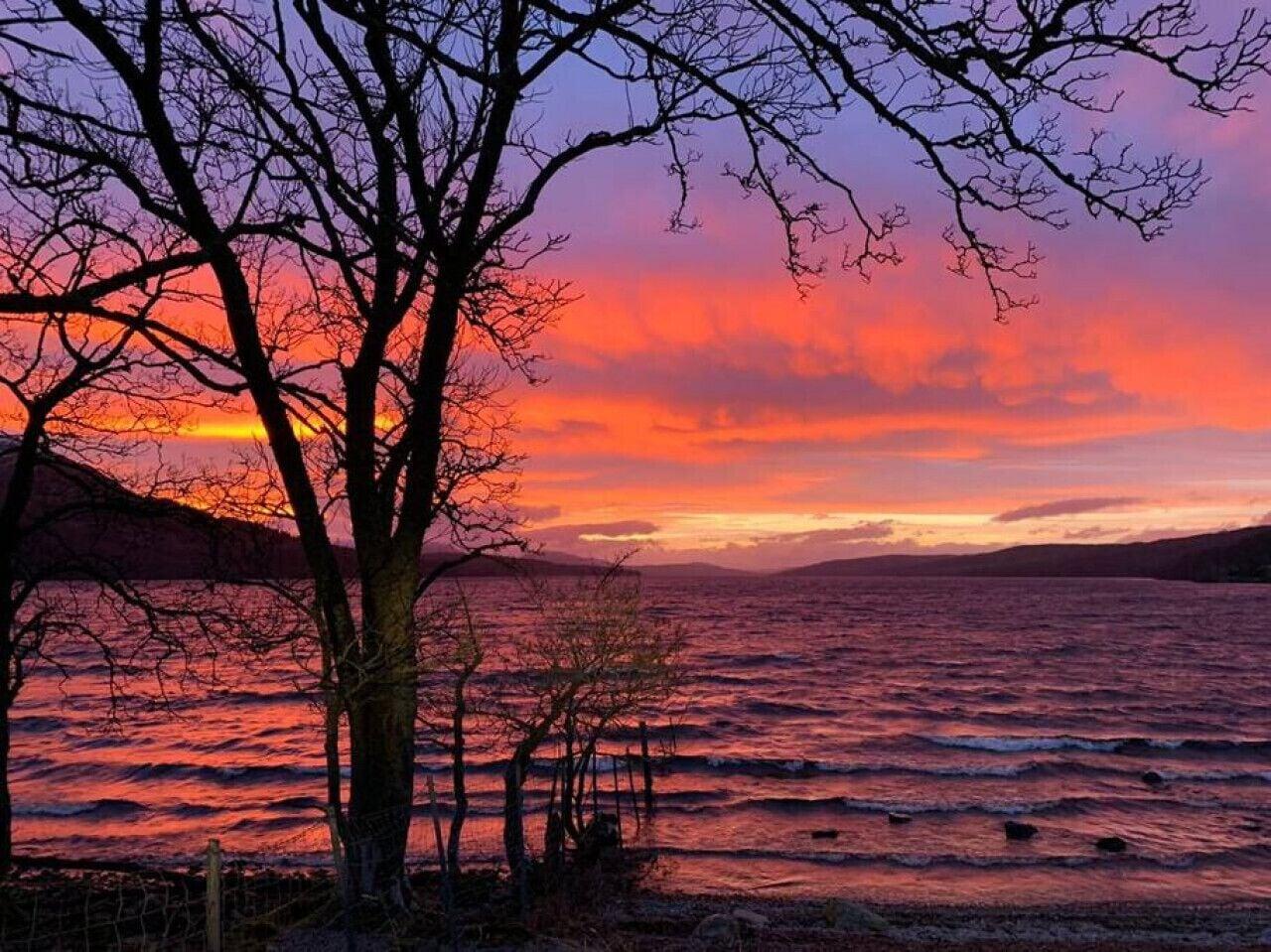 Pet Friendly Loch Rannoch Eagle Lodge