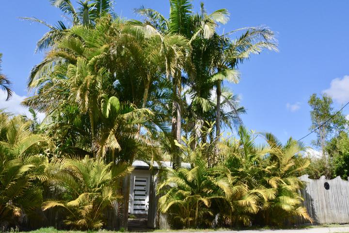 Pet Friendly Paradise Palms