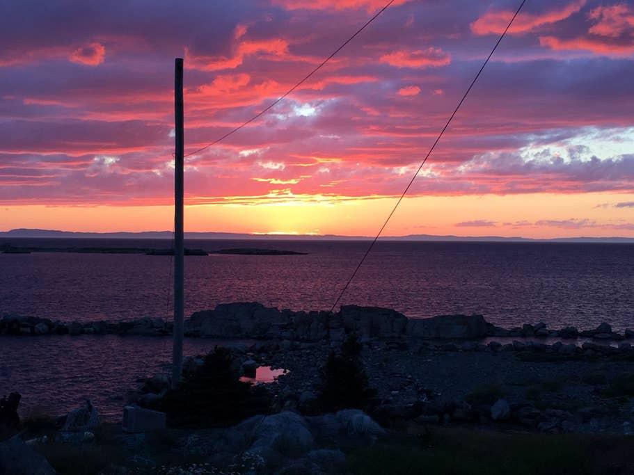 Hants Harbour Airbnb Rentals Pet Policy