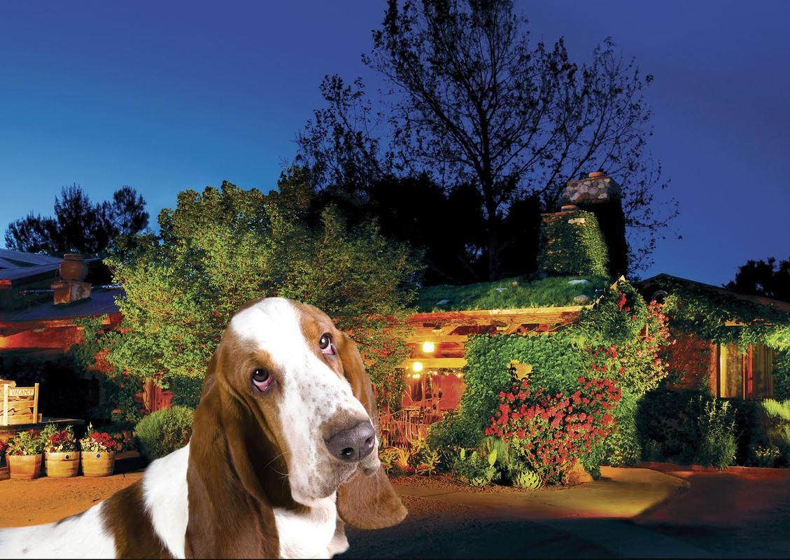 Pet Friendly Hotels In Sedona Az Bringfido