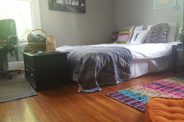 Pet Friendly Chattanooga Airbnb Rentals