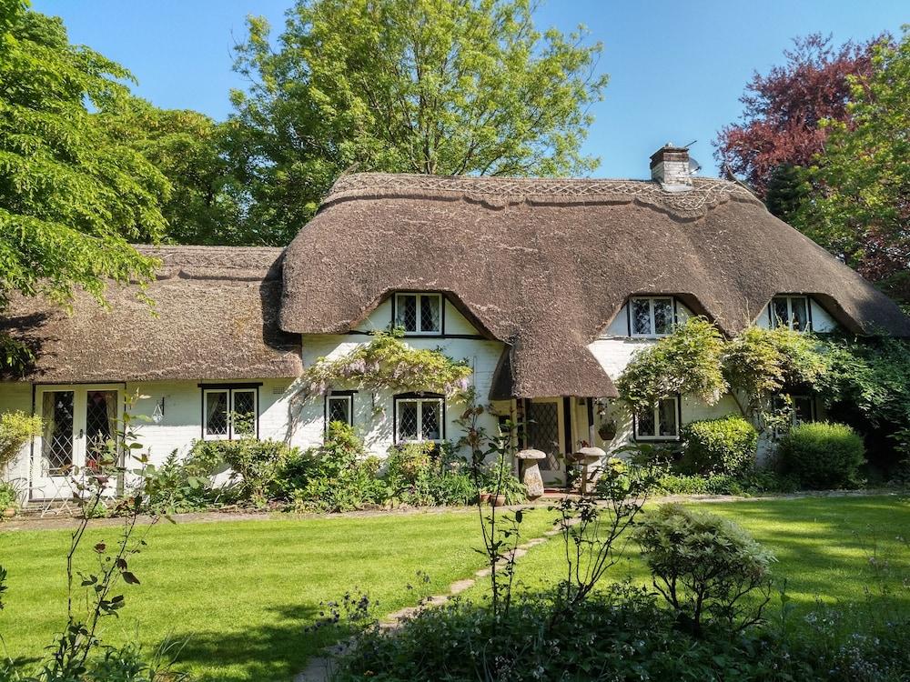 Pet Friendly Thatched Eaves