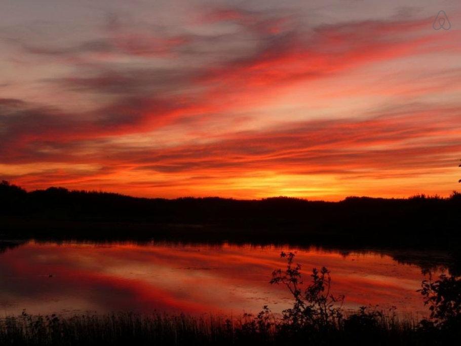 Camrose Airbnb Rentals Pet Policy