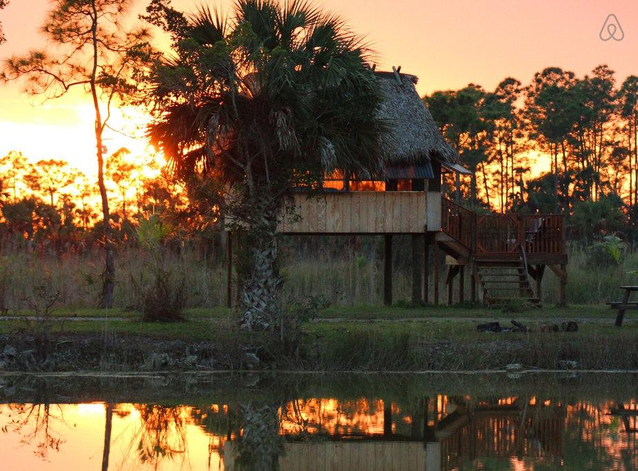 Pet Friendly Everglades City Airbnb Rentals