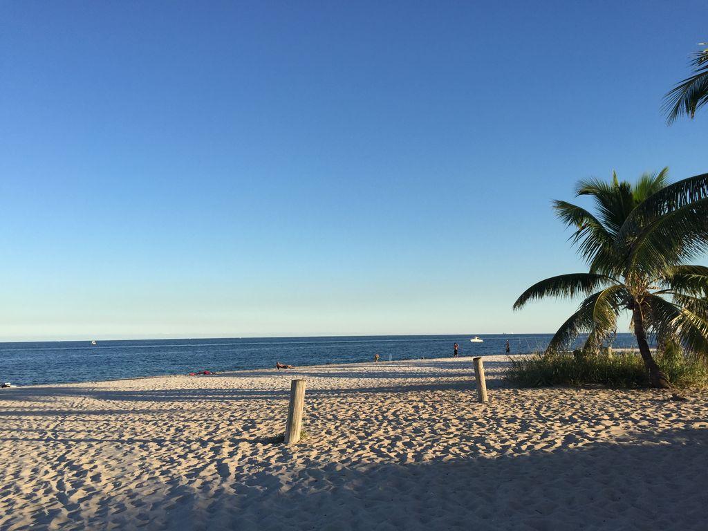 Pet Friendly Hotels In Pompano Beach Fl Bringfido