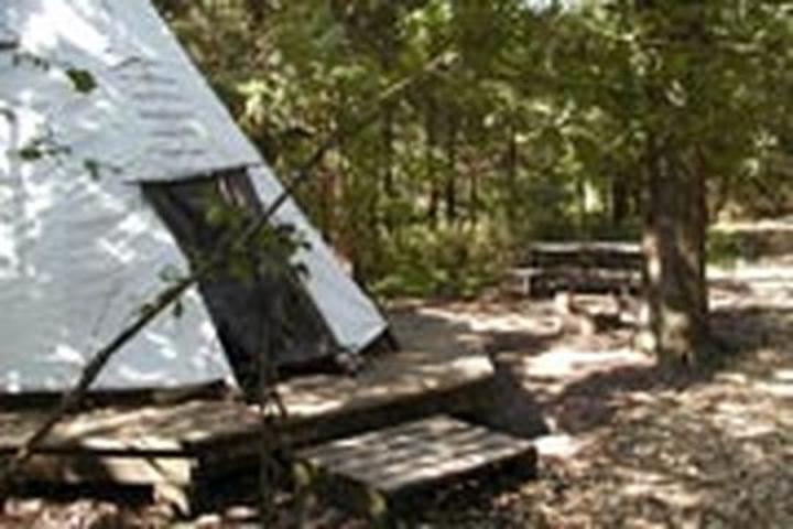 Pet Friendly Platte River State Park Campground