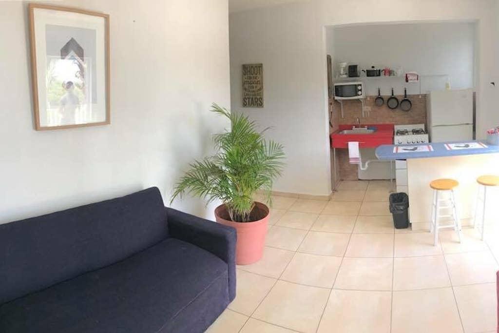 Cabo Rojo Airbnb Rentals Pet Policy