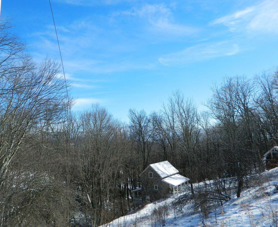 Beech CabinBeech Mountain Pet Policy