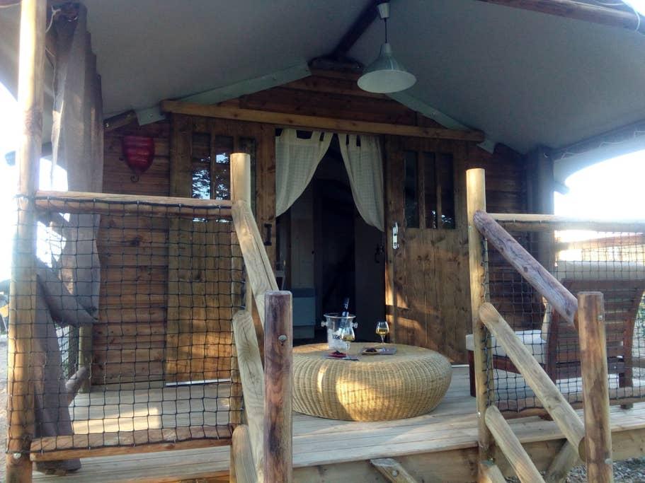 Pet Friendly Cahuzac sur Vere Airbnb Rentals