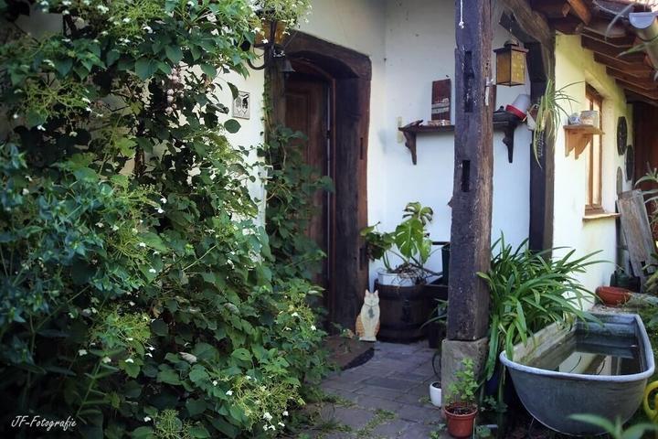 Pet Friendly Holiday Apartment Schwabwiller for 1-3 Persons