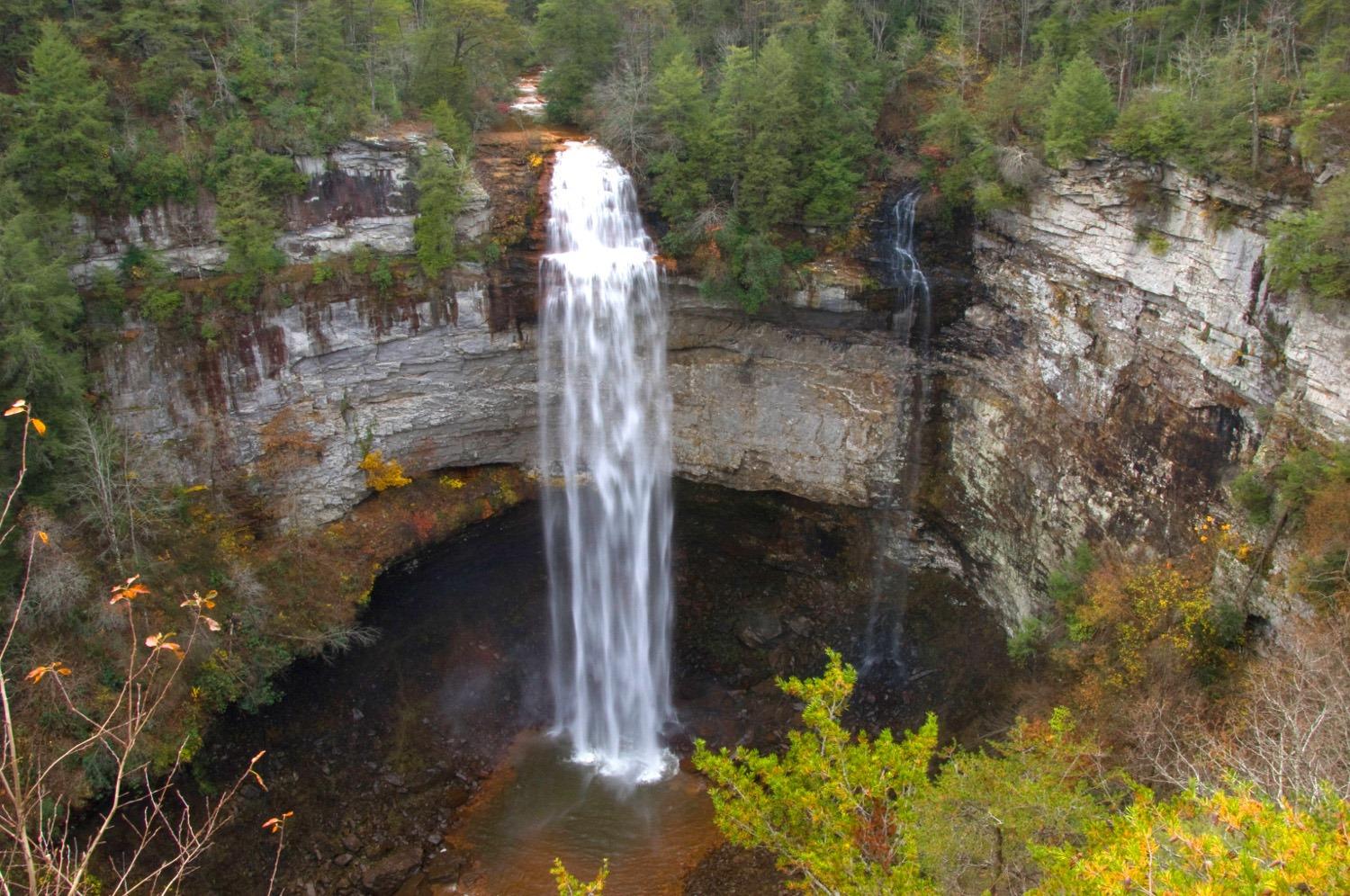 are dogs allowed at fall creek falls state park