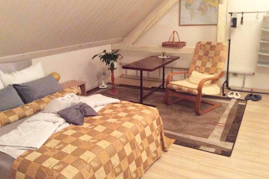 Pet Friendly Olbernhau Airbnb Rentals