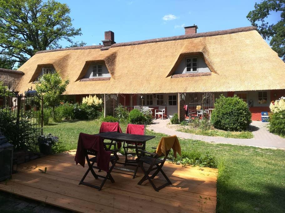 Pet Friendly Rohlstorf Airbnb Rentals