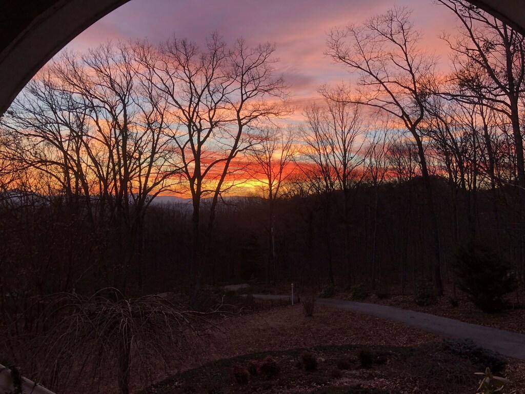 Roanoke Retreat Pet Policy