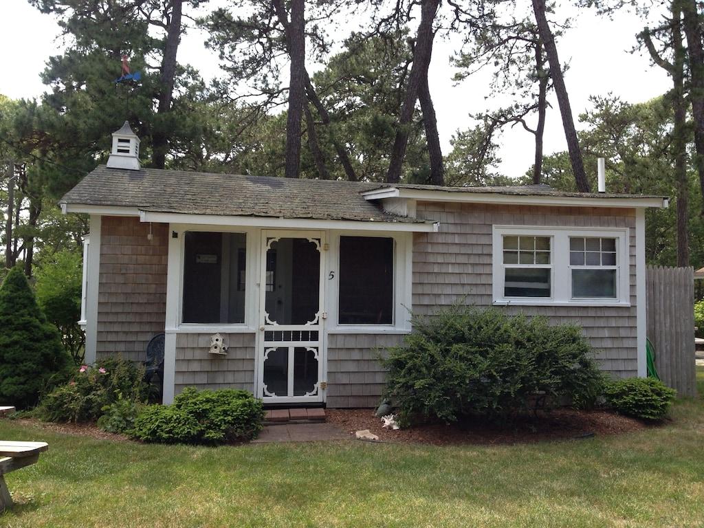 Pet Friendly Nestled in the Pines in the Heart of Cape Cod