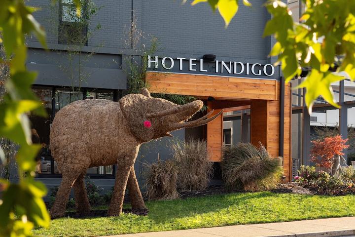 Pet Friendly Hotel Indigo Chattanooga - Downtown an IHG Hotel