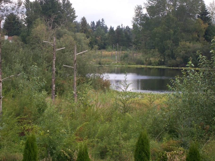 Kirkland Airbnb Rentals Pet Policy