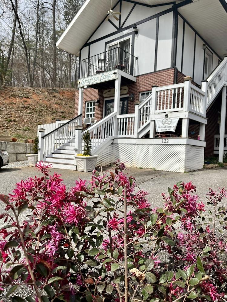 The Grafton Lodge Pet Policy