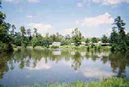 Pet Friendly Country Pines RV Park