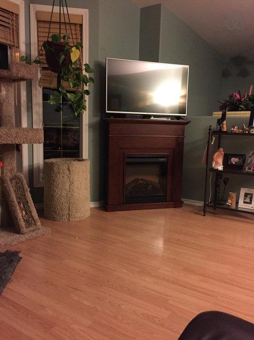 Lloydminster Airbnb Rentals Pet Policy