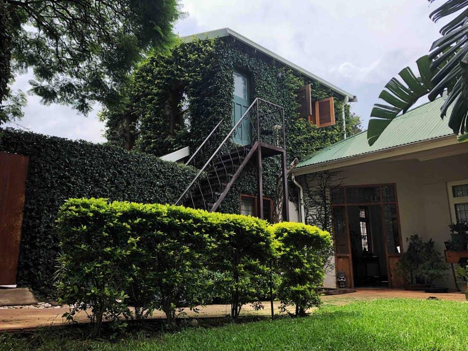 Johannesburg Airbnb Rentals Pet Policy