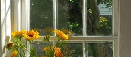 Picture of a pet friendly vacation rental in Lawrenceville, NJ, US. Picture of a pet friendly vacation rental in Lawrenceville, NJ, US.