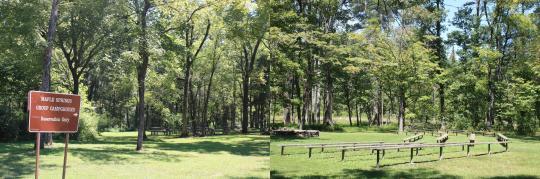 Pet Friendly Maple State Park Campground