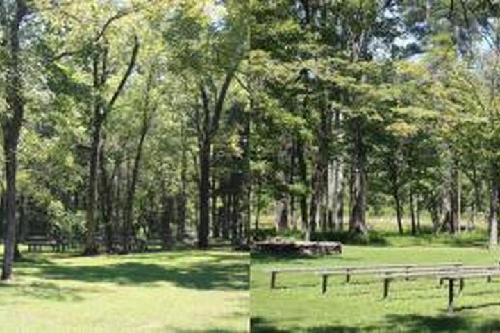 Pet Friendly Maple State Park Campground