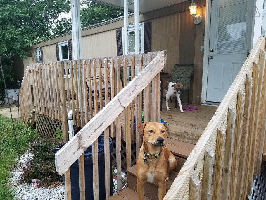 Pet Friendly Whiting Airbnb Rentals
